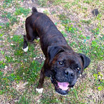 Thumbnail photo of Bonnie IV #2