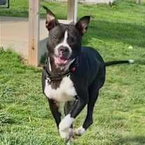 Thumbnail photo of Milly #2