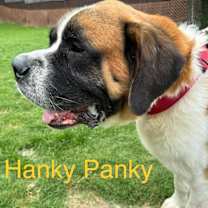 Thumbnail photo of Hanky Panky #2