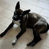 Thumbnail photo of Mercy #1