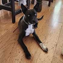 Thumbnail photo of Mercy #2