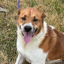 Thumbnail photo of Paul #1