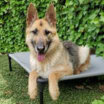 Thumbnail photo of Zoe #1