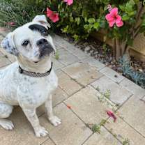Thumbnail photo of Tabitha #2