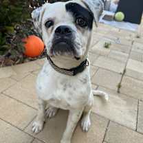 Thumbnail photo of Tabitha #3
