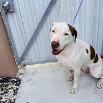 Thumbnail photo of Spot #1