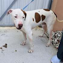 Thumbnail photo of Spot #2