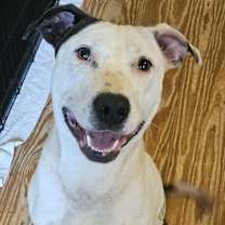 Thumbnail photo of Spot #1