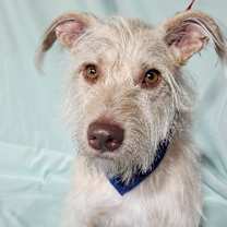 Thumbnail photo of Lucas #1