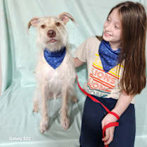 Thumbnail photo of Lucas #3