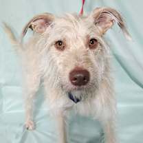 Thumbnail photo of Lucas #4