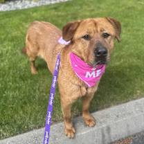 Thumbnail photo of Lady #1