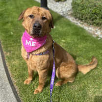 Thumbnail photo of Lady #2