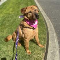 Thumbnail photo of Lady #3