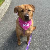 Thumbnail photo of Lady #4