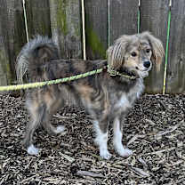 Thumbnail photo of Moses #4