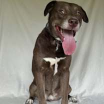 Thumbnail photo of Clyde #3