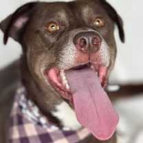 Thumbnail photo of Clyde #1