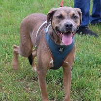 Thumbnail photo of Salem #3