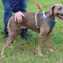 Thumbnail photo of Salem #1