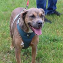 Thumbnail photo of Salem #4