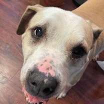 Thumbnail photo of Sami #2