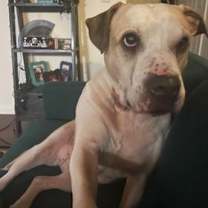 Thumbnail photo of Sami #3