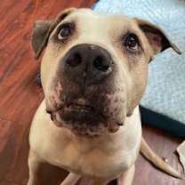 Thumbnail photo of Sami #4