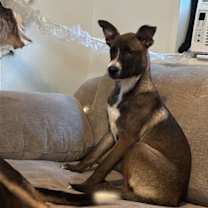 Thumbnail photo of Mae #2