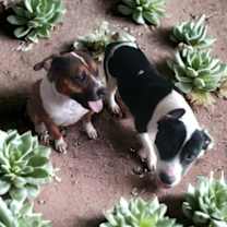 Thumbnail photo of Isabel #3