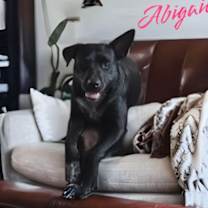 Thumbnail photo of Abbie Gail #1