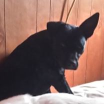 Thumbnail photo of Abbie Gail #3