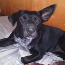 Thumbnail photo of Abbie Gail #4