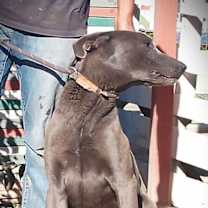 Thumbnail photo of Bo #3