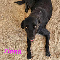 Thumbnail photo of Fiona #2