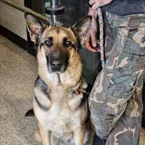 Thumbnail photo of Natalie #3