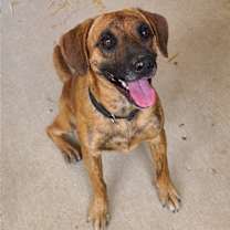 Thumbnail photo of Odin #1