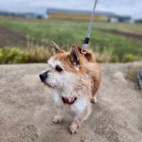 Thumbnail photo of Ewan #1