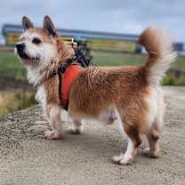 Thumbnail photo of Ewan #2