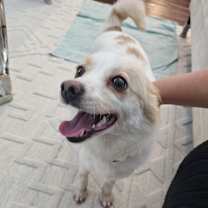 Thumbnail photo of Nina #2