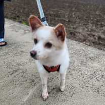 Thumbnail photo of Nina #4