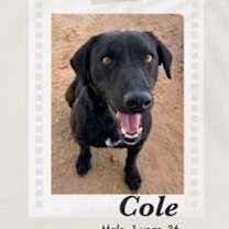 Thumbnail photo of Cole #1