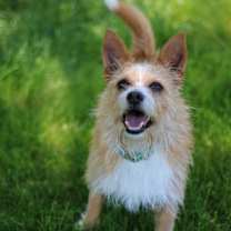 Thumbnail photo of Rocket #3