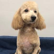 Thumbnail photo of Merry #3