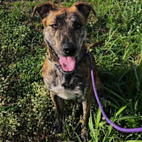 Thumbnail photo of Reese #1