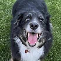 Thumbnail photo of Max R Roni #1