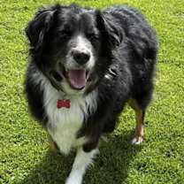 Thumbnail photo of Max R Roni #2