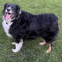 Thumbnail photo of Max R Roni #3