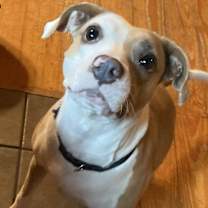 Thumbnail photo of Quinn #3