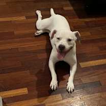 Thumbnail photo of Casper #1